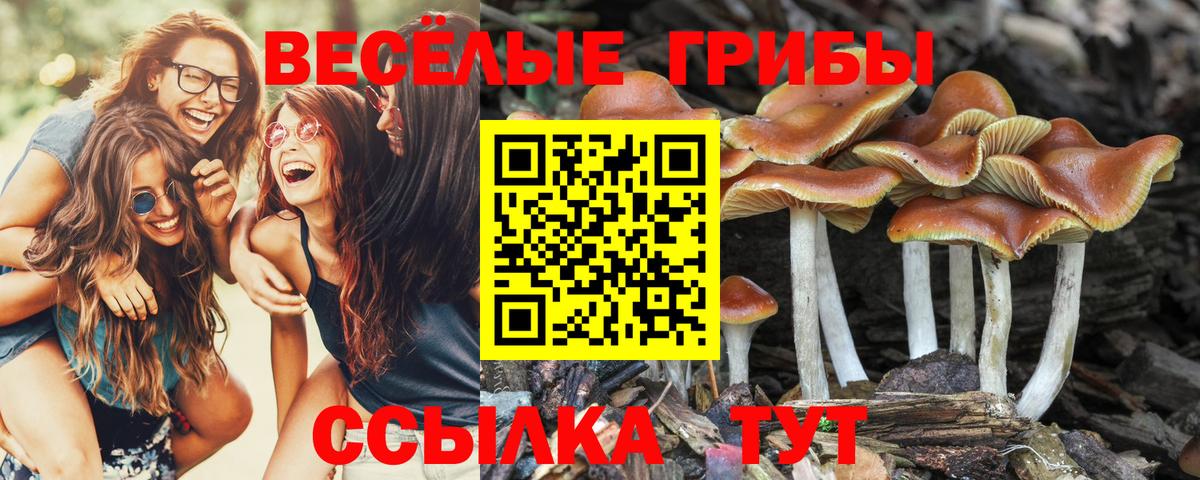Псилоцибиновые грибы мухоморы Кузнецк