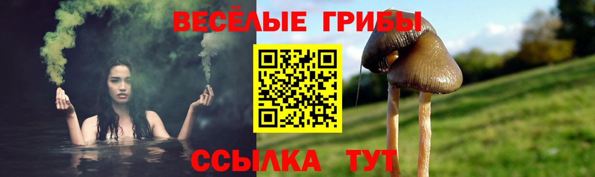 Псилоцибиновые грибы мухоморы  Галлюциногенные грибы прущие грибы  даркнет сайт  Кузнецк  Вход с VPN 